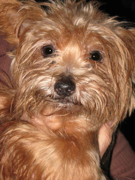 Edie