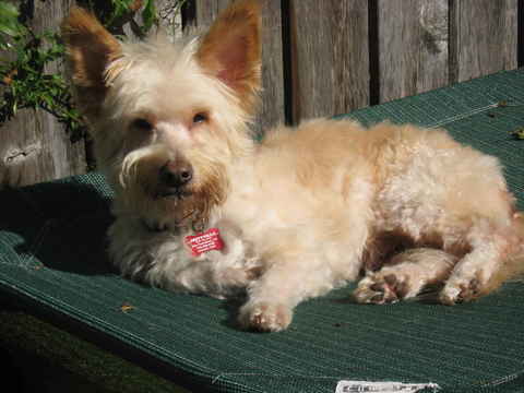 Duffy