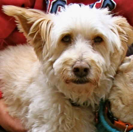 Duffy