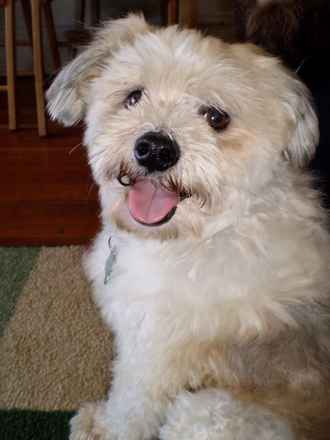 Winston