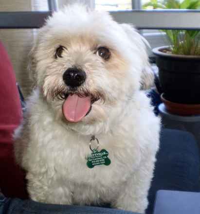 Winston