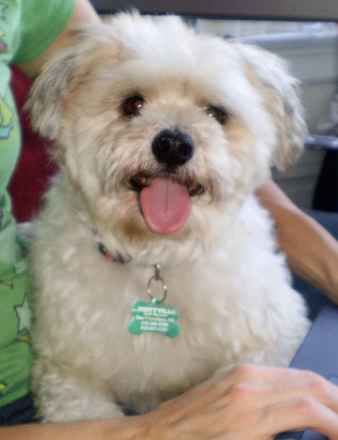 Winston