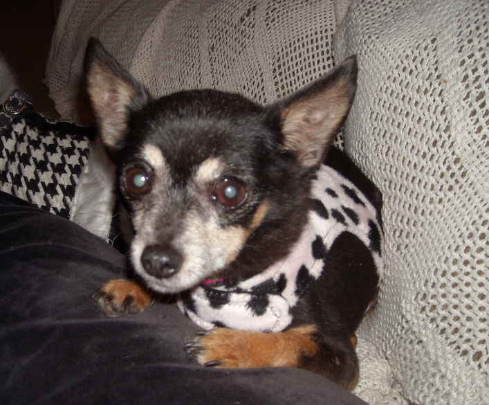 Jolie