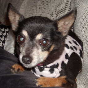 Jolie