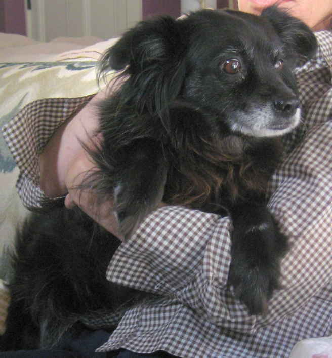 Milly