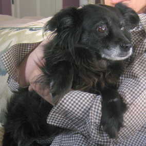 Milly