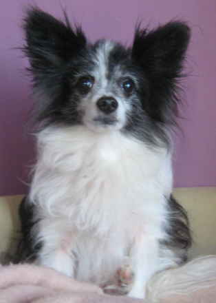 Fritz