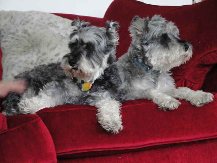 Wylie & Priscilla