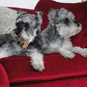 Wylie & Priscilla