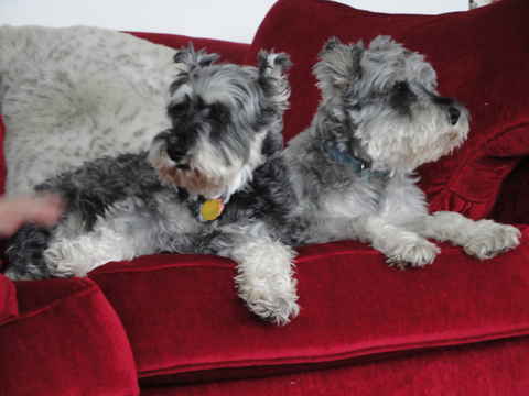 Wylie & Priscilla