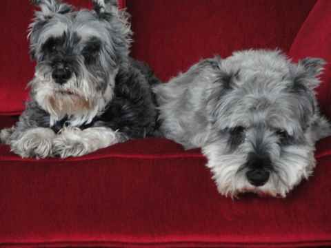 Wylie & Priscilla