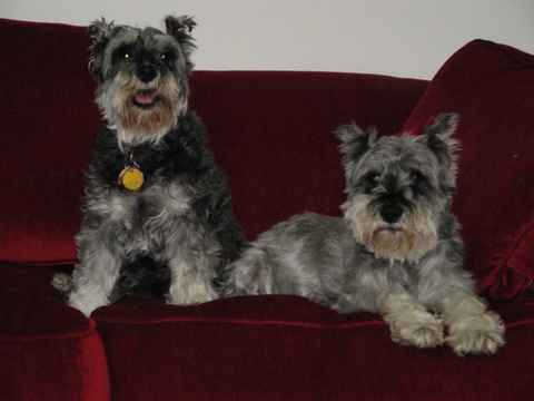 Wylie & Priscilla