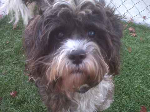 Buster 2