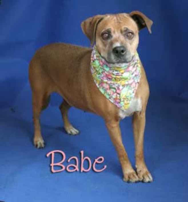 Babette