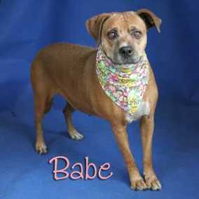 Babette