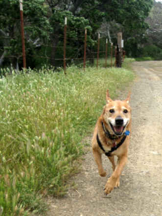 Mindy