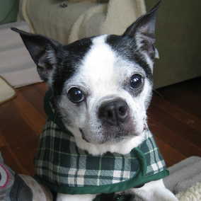 Missy 2