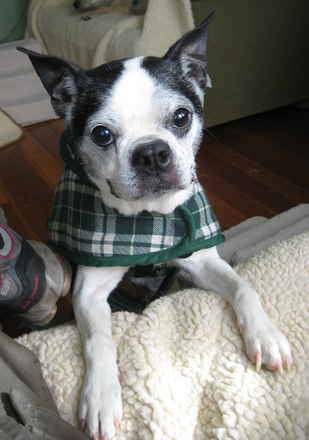 Missy 2