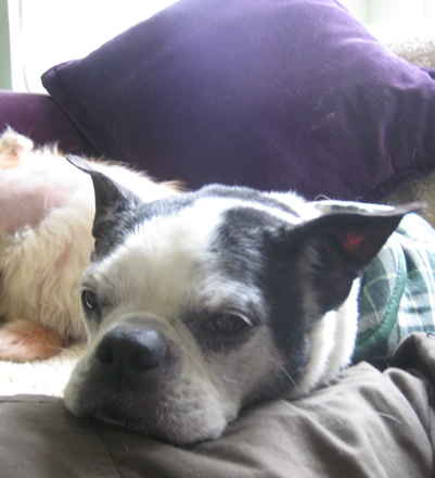 Missy 2