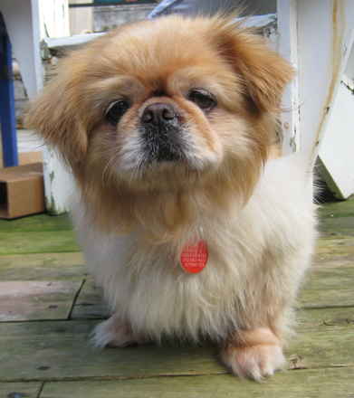 Abbie