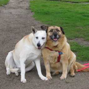 Keeva & Portia