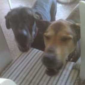 Sydney & Jake