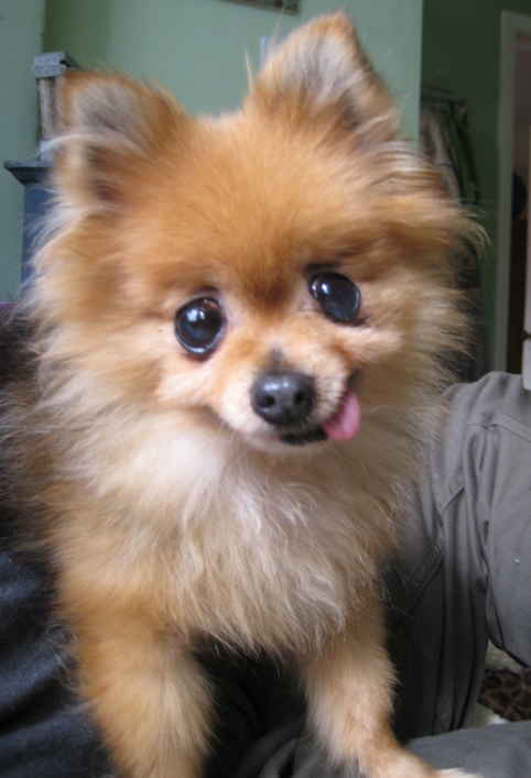 Mimi