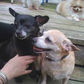 Lucy and Ethel