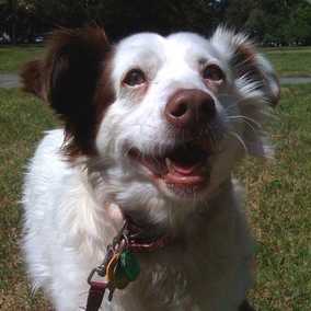 Charlie 2