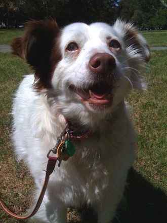 Charlie 2