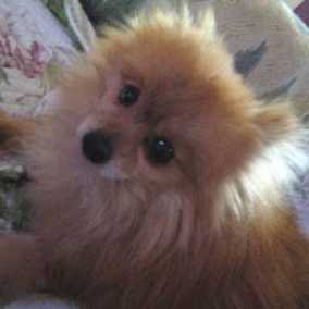 Jimmy 2