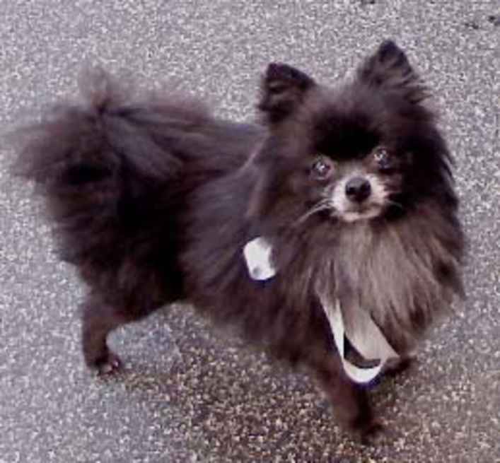 Bebe 2