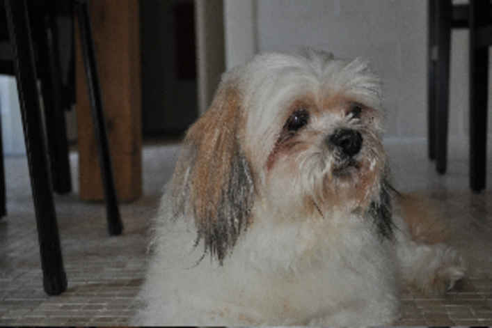 Rupert