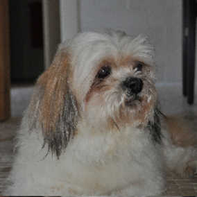 Rupert