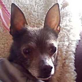 Little Smokey