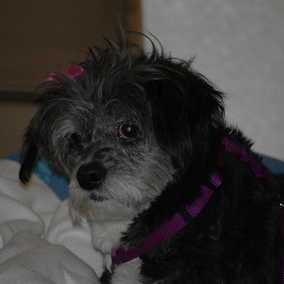 Winnie 2