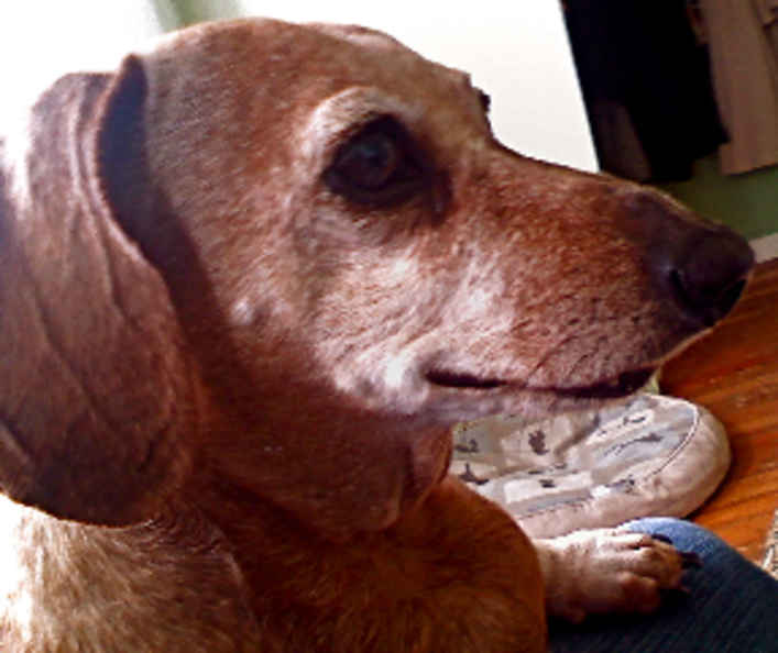 Tonka