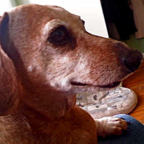 Tonka