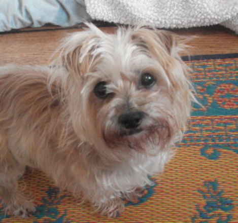 Betsy
