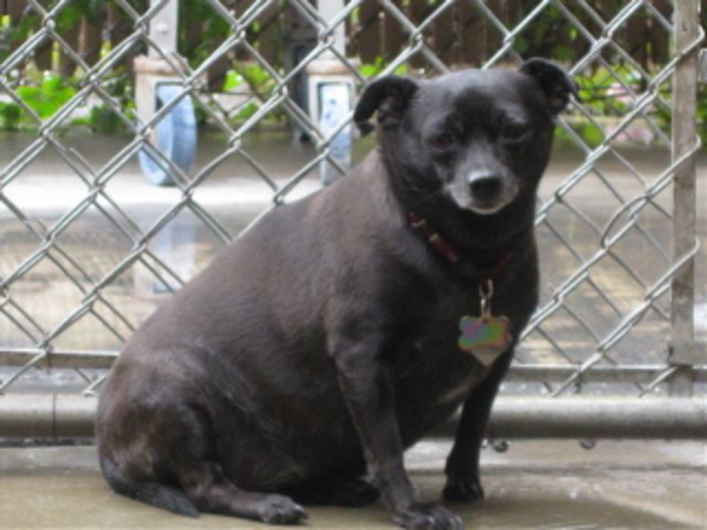 Mama Rosie