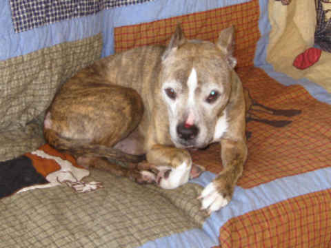 Shiloh