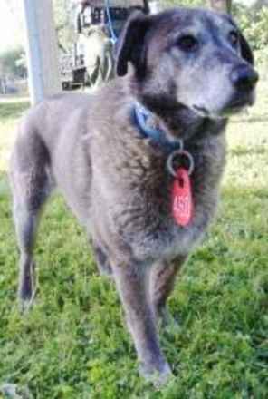 Bodie