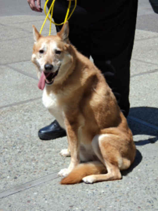 Sweetie 2