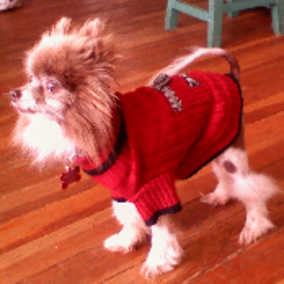 Wyatt 2