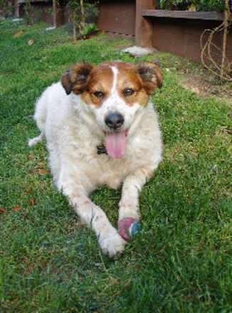 Koby