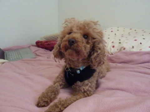 Buffy