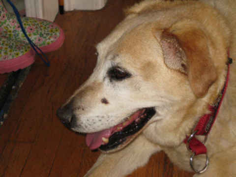 Ethel