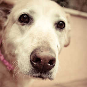 Ethel