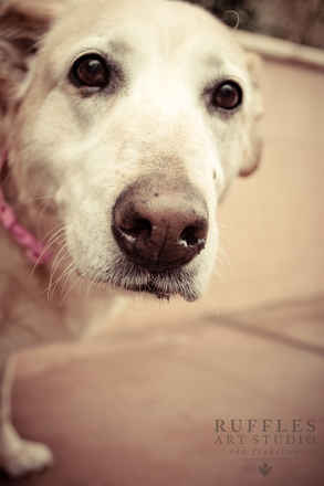 Ethel