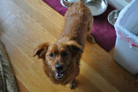 Roscoe 2